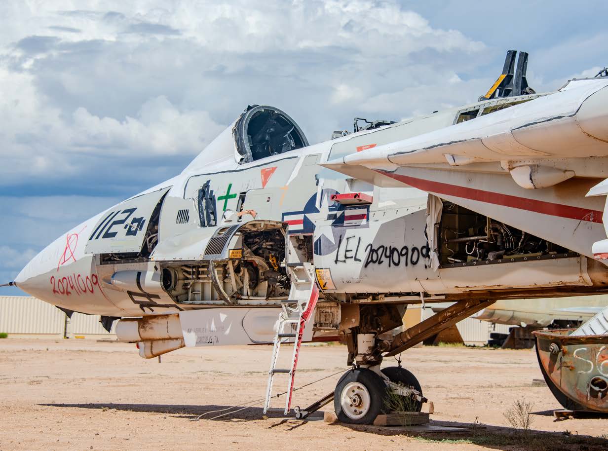 AMARG maintains a group of F-14 Tomcats. [Credit: Connor O'Shea]