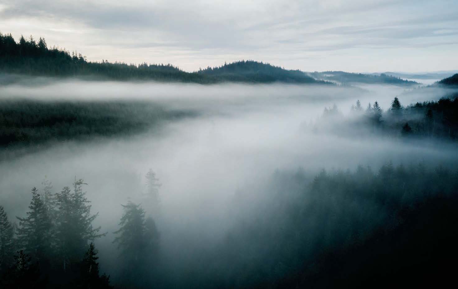 To hold the controls of an airplane is easy. To snatch them from another pilot, literally or figuratively, is one of the hardest things a pilot might have to do. [Credit: Adobe Stock]