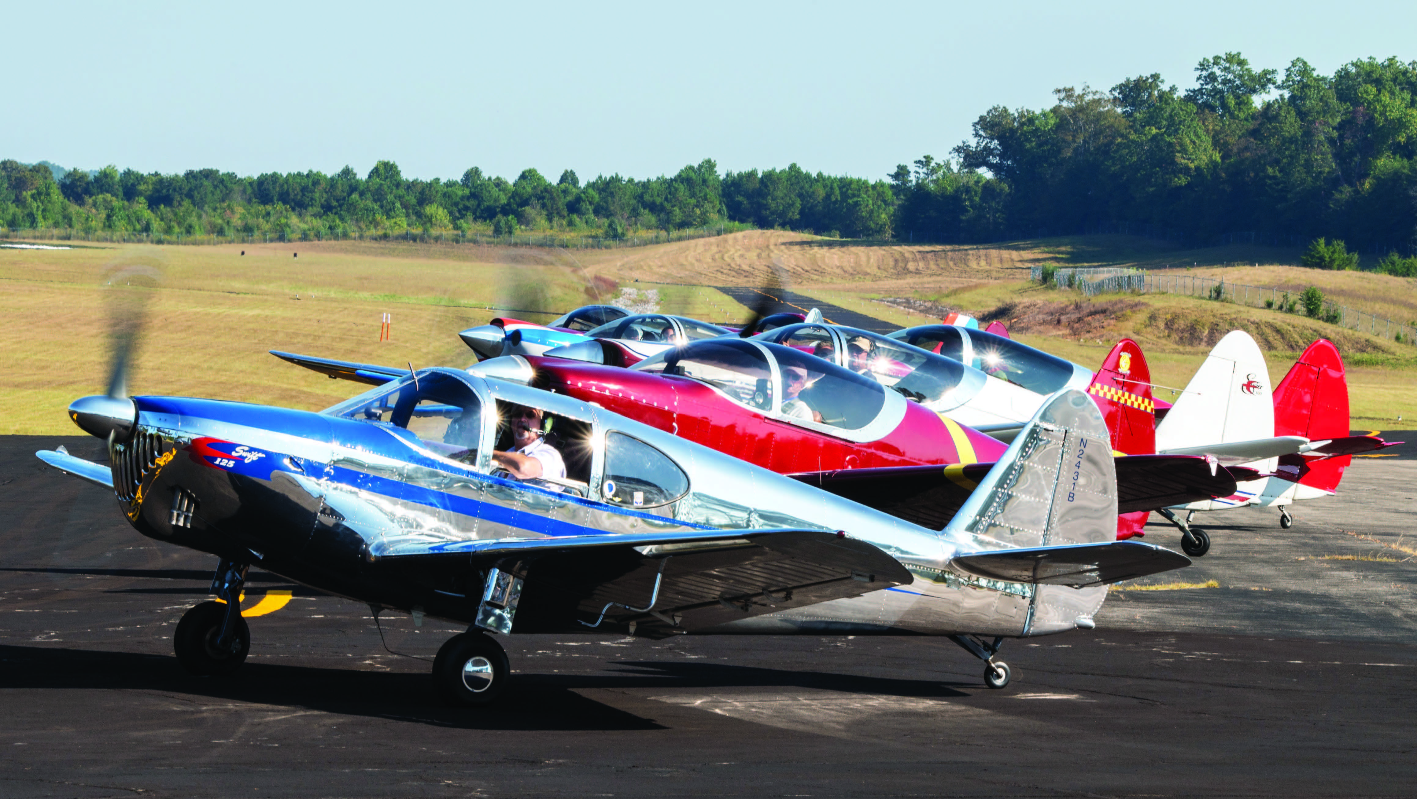 Globe Swifts on the ramp [Credit: Jim Roberts]